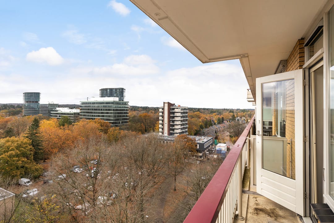 Photo 13 of Henri Dunantlaan 193