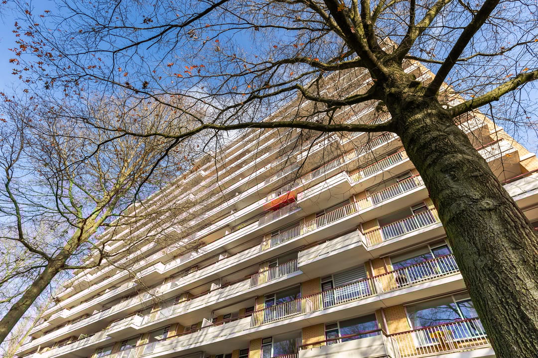 Photo 31 of Henri Dunantlaan 193