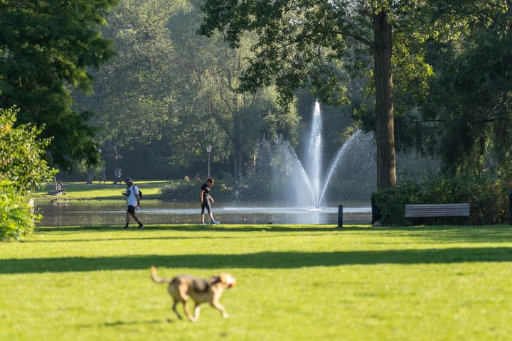 Foto 37 van Maritzstraat 4-3