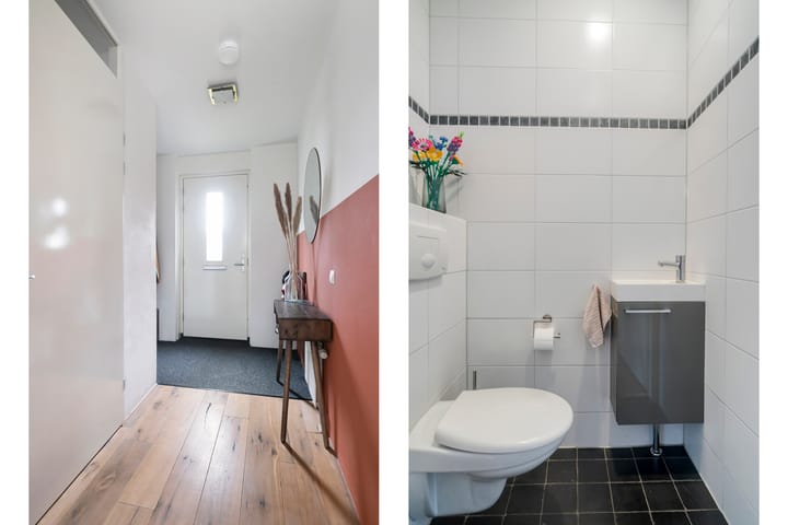 Photo 6 of Gelderse Roos 8