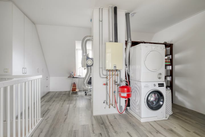 Photo 21 of Gelderse Roos 8