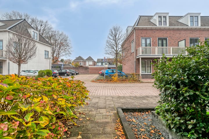 Photo 29 of Gelderse Roos 8