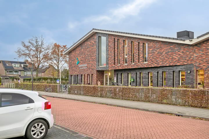 Photo 32 of Gelderse Roos 8