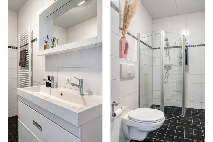 Photo 19 of Gelderse Roos 8