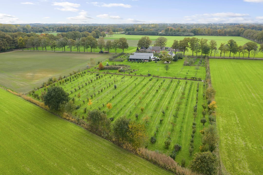 Foto 11 van Hardermaat 12