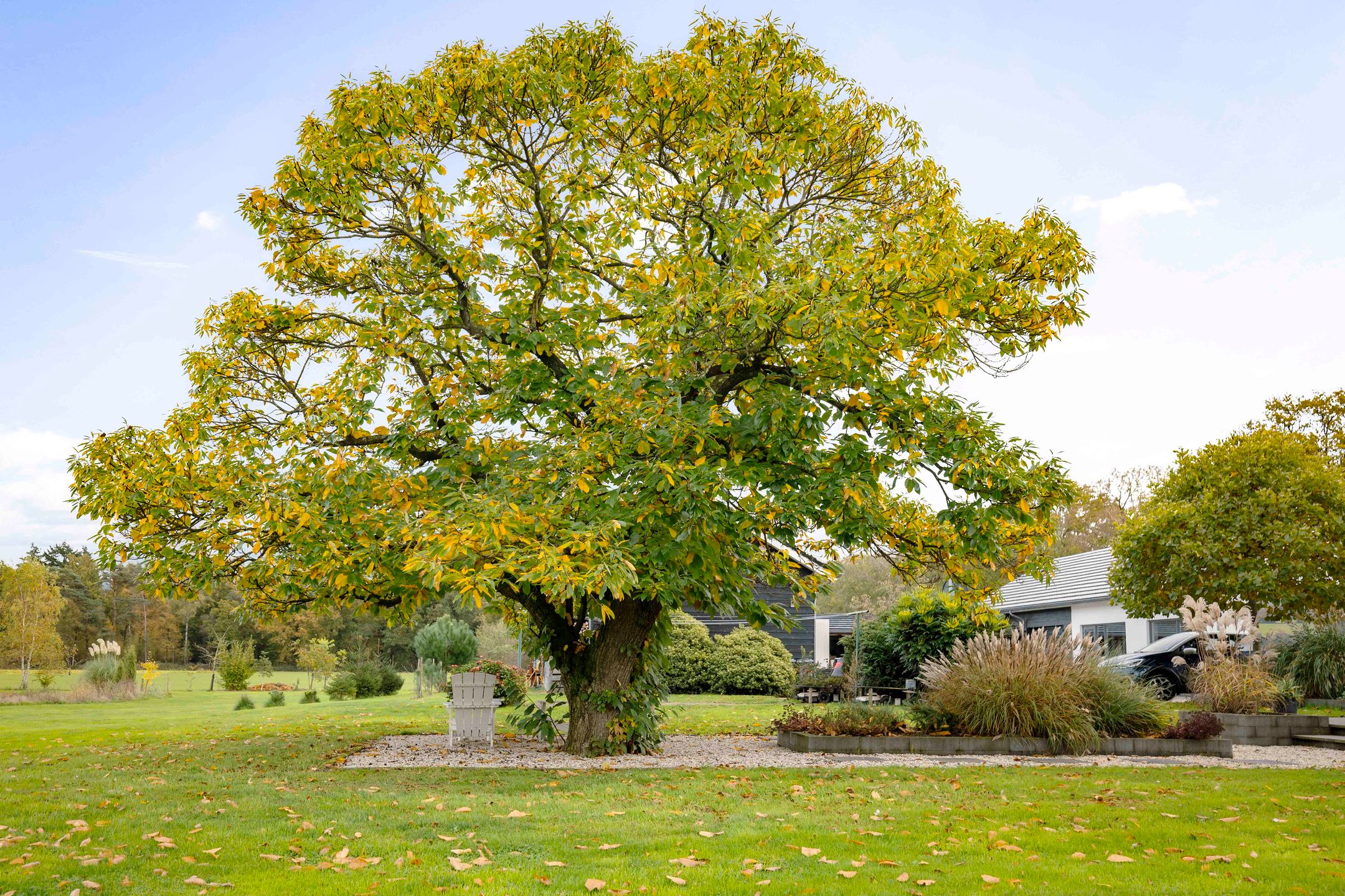 Foto 18 van Hardermaat 12