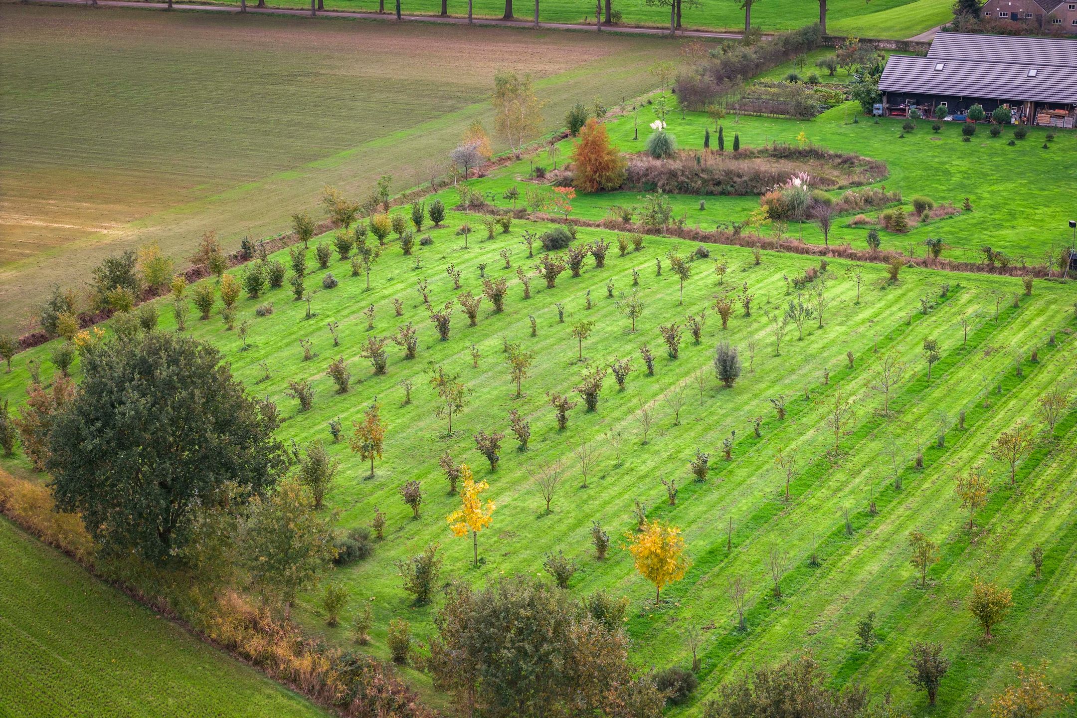 Foto 72 van Hardermaat 12