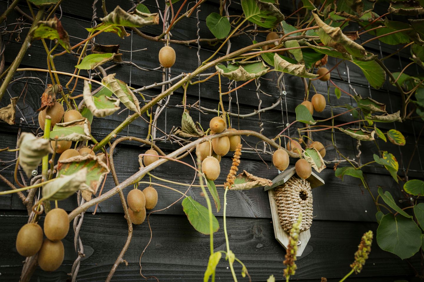 Foto 74 van Hardermaat 12