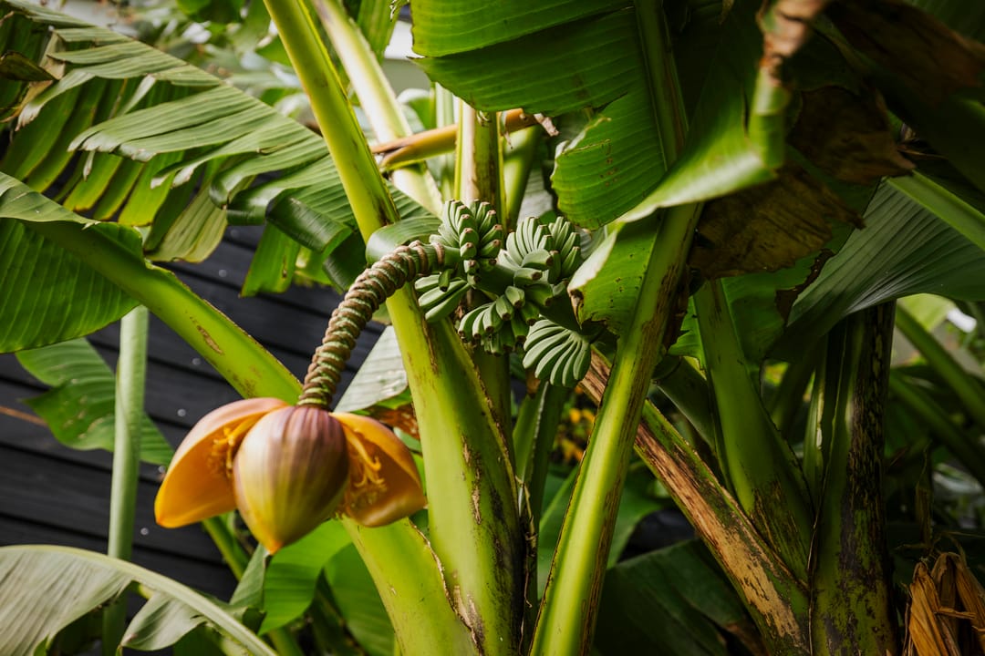 Foto 76 van Hardermaat 12