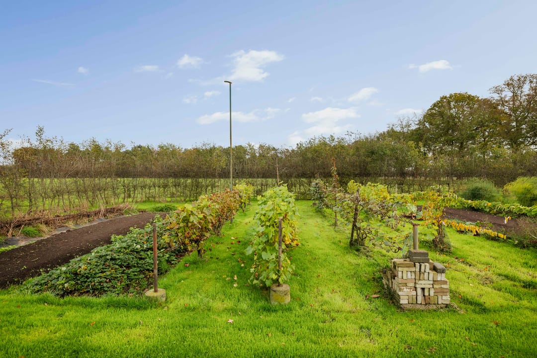 Foto 77 van Hardermaat 12