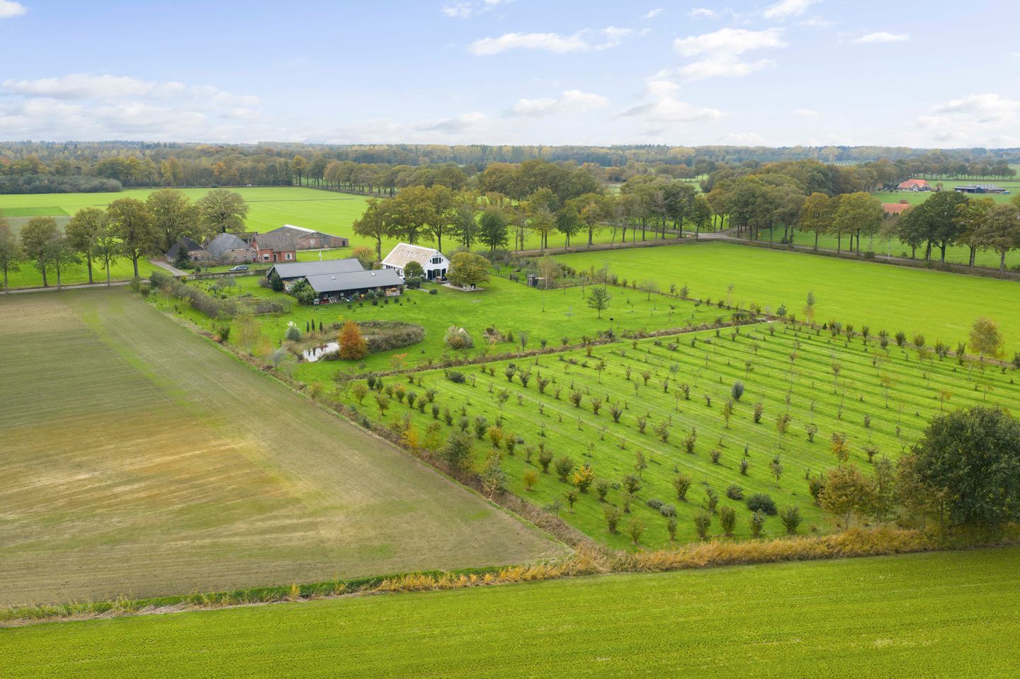 Foto 80 van Hardermaat 12