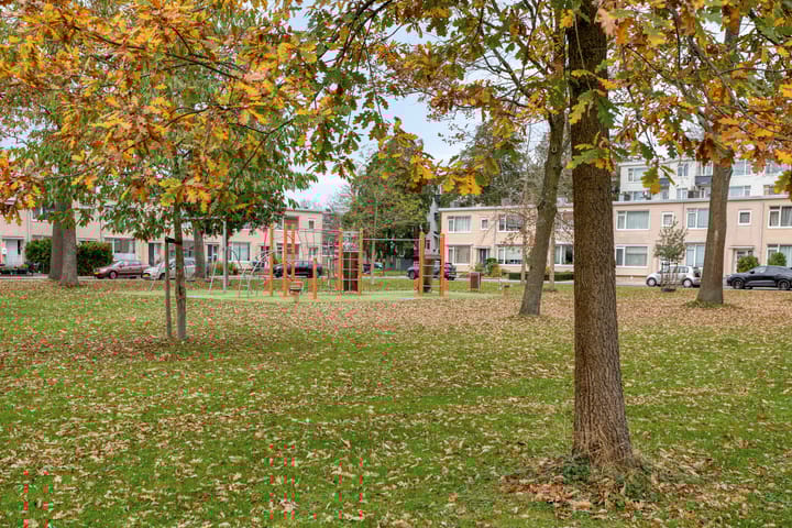 Foto 31 van Goeman Borgesiusplantsoen 1