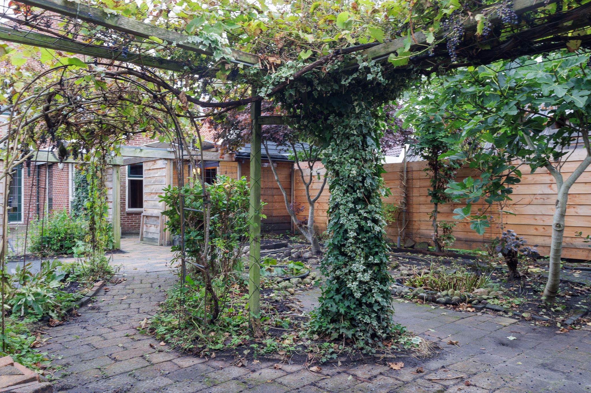 Foto 66 van Jakob Bruggemalaan 94