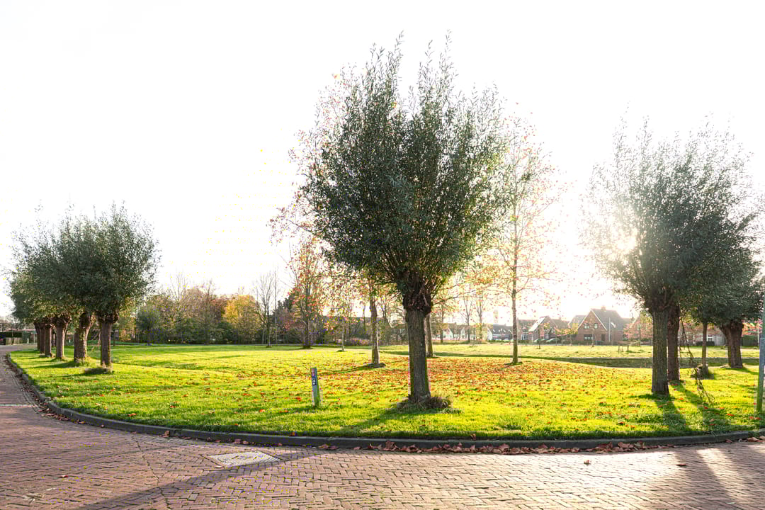 Foto 38 van Verdilaan 5