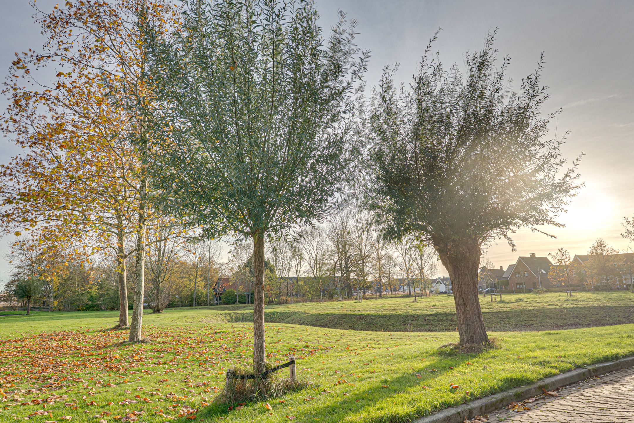 Foto 39 van Verdilaan 5