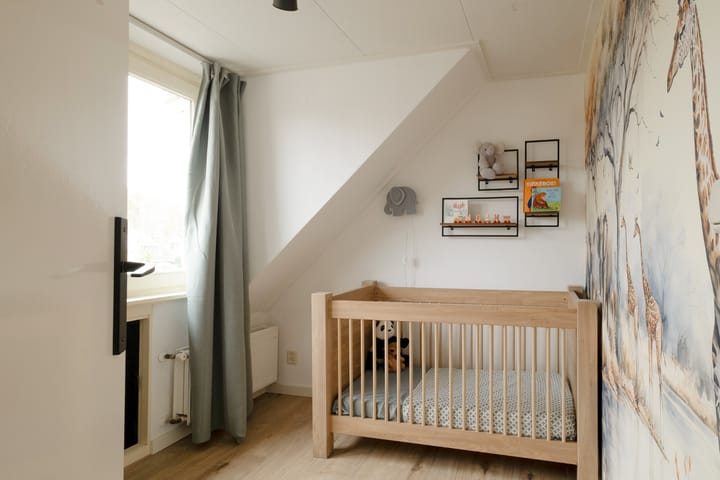 Photo 33 of Scholtinkstraat 183