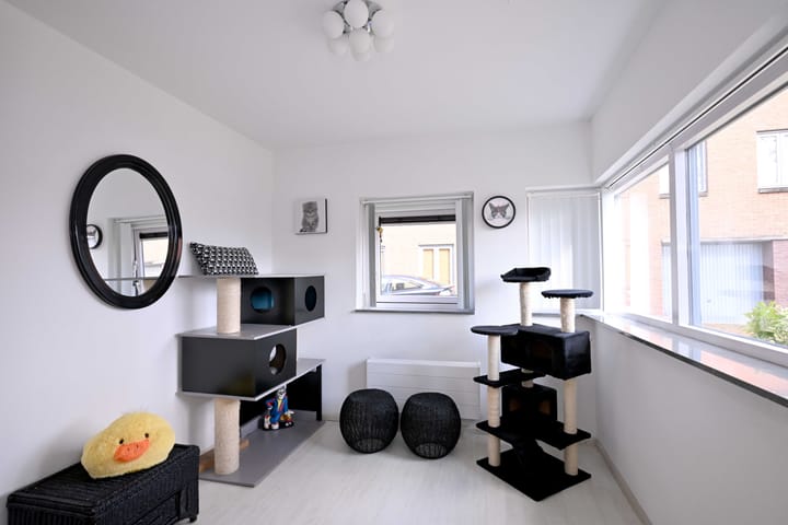 Photo 34 of Johan Wensinkstraat 52