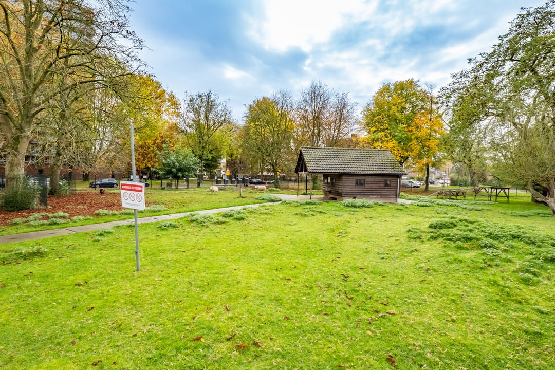 Photo 38 of van Herwijnenplantsoen 257