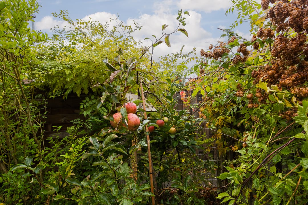 Photo 26 of Minister de Visserstraat 10
