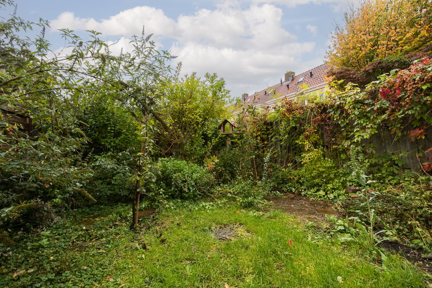 Photo 25 of Minister de Visserstraat 10