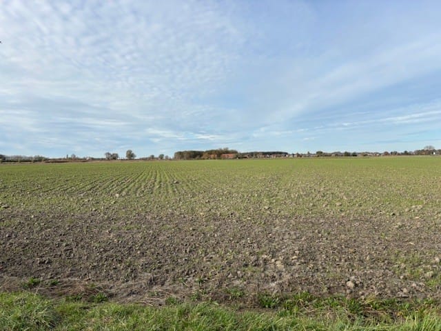 Bekijk foto 4 van Parallelweg