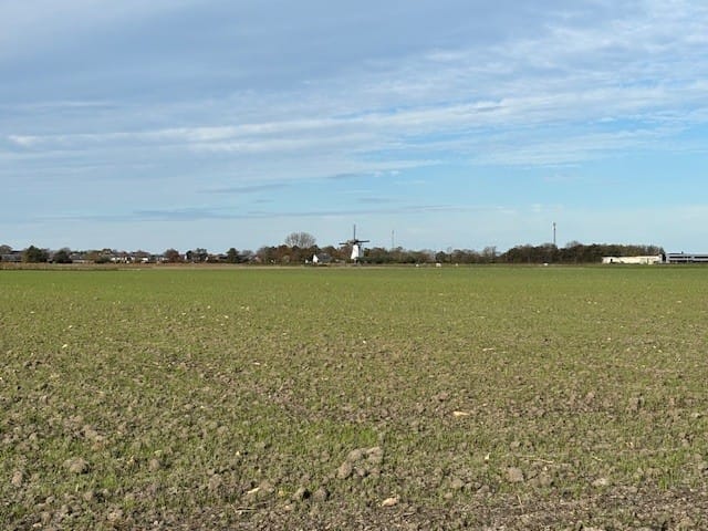 Bekijk foto 2 van Parallelweg