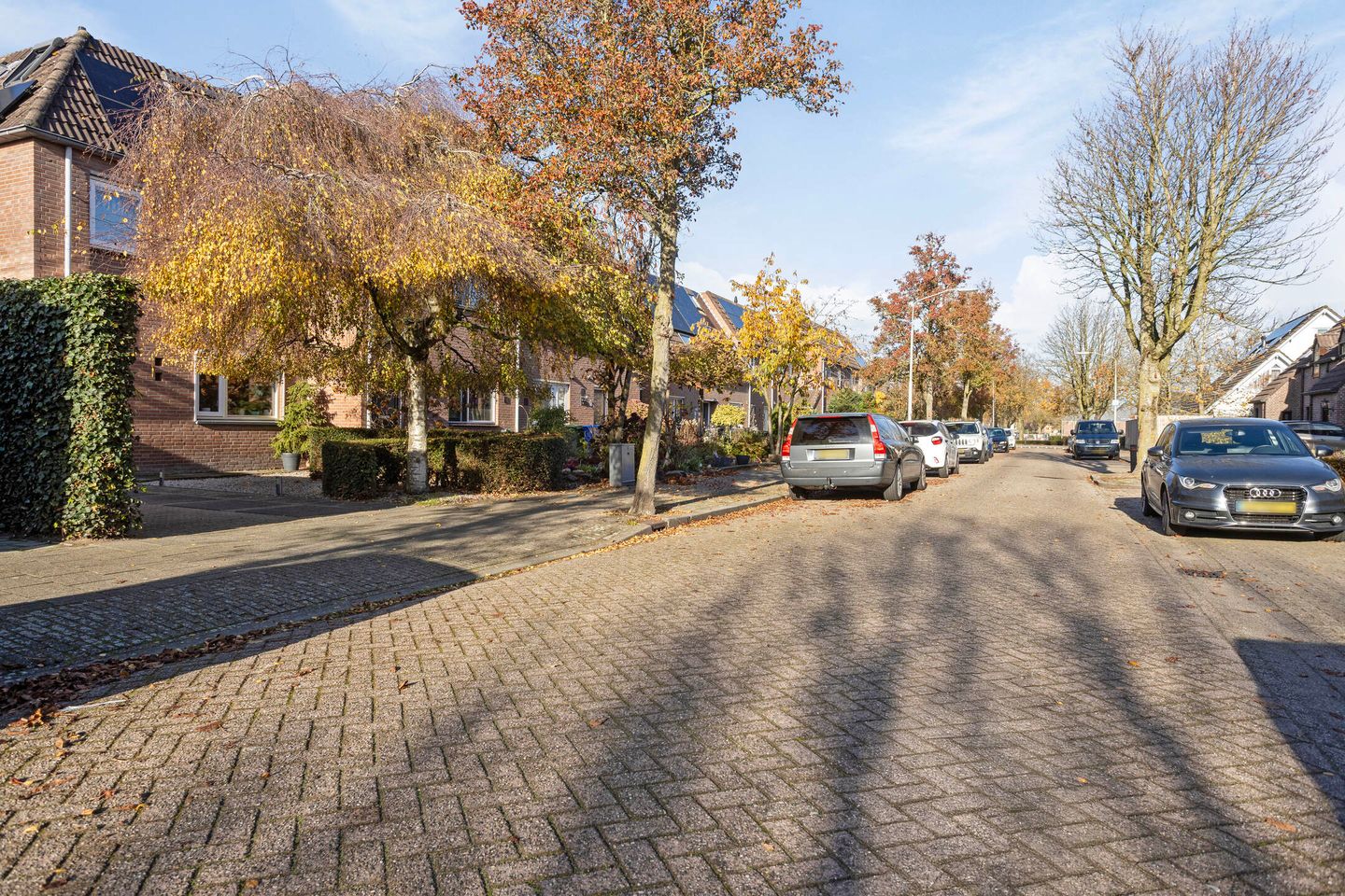 Foto 50 van De Savornin Lohmanlaan 26