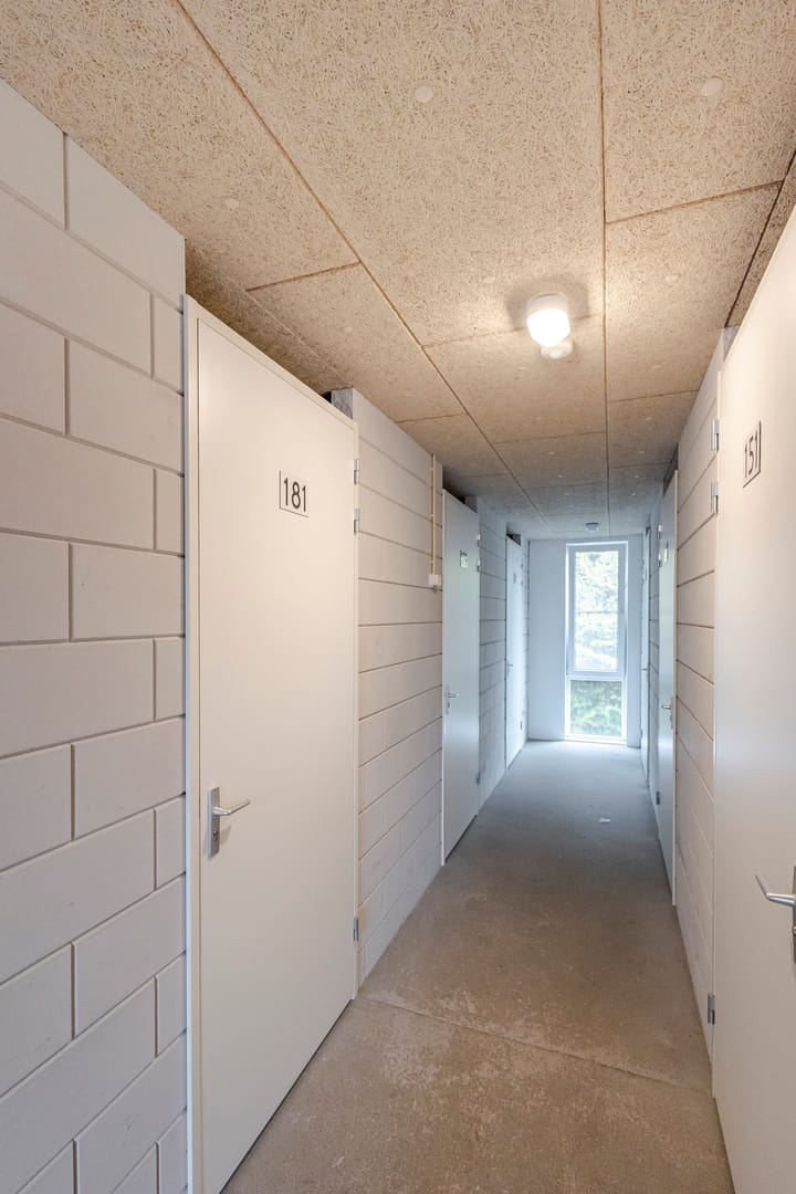 Foto 14 van Prof. Kamerlingh Onneslaan 181