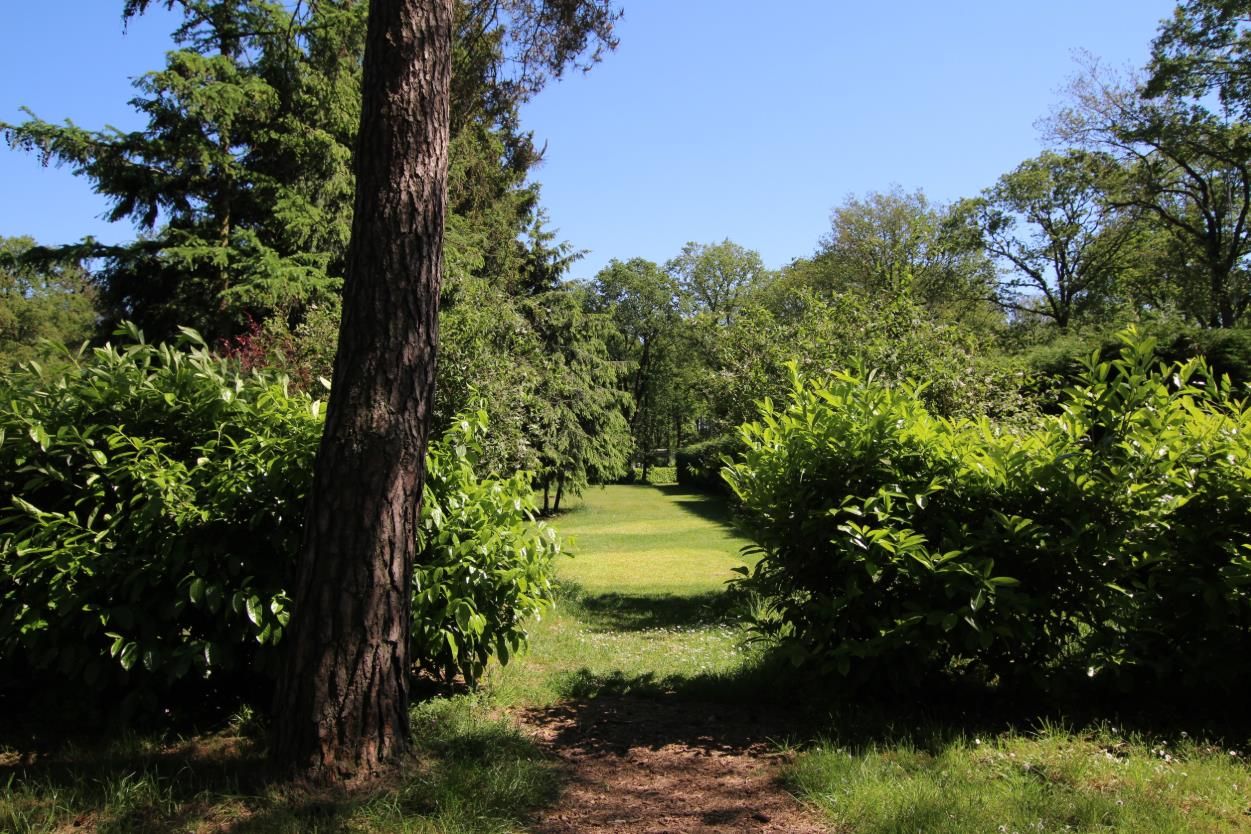 Bekijk foto 5 van Heimolen 6