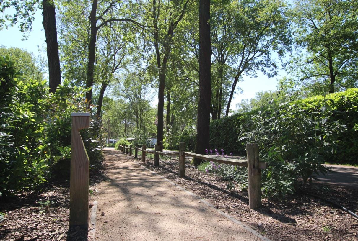 Bekijk foto 4 van Heimolen 6