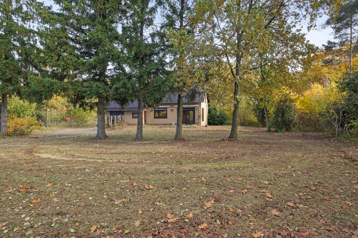 Photo 35 of Breestraat 14