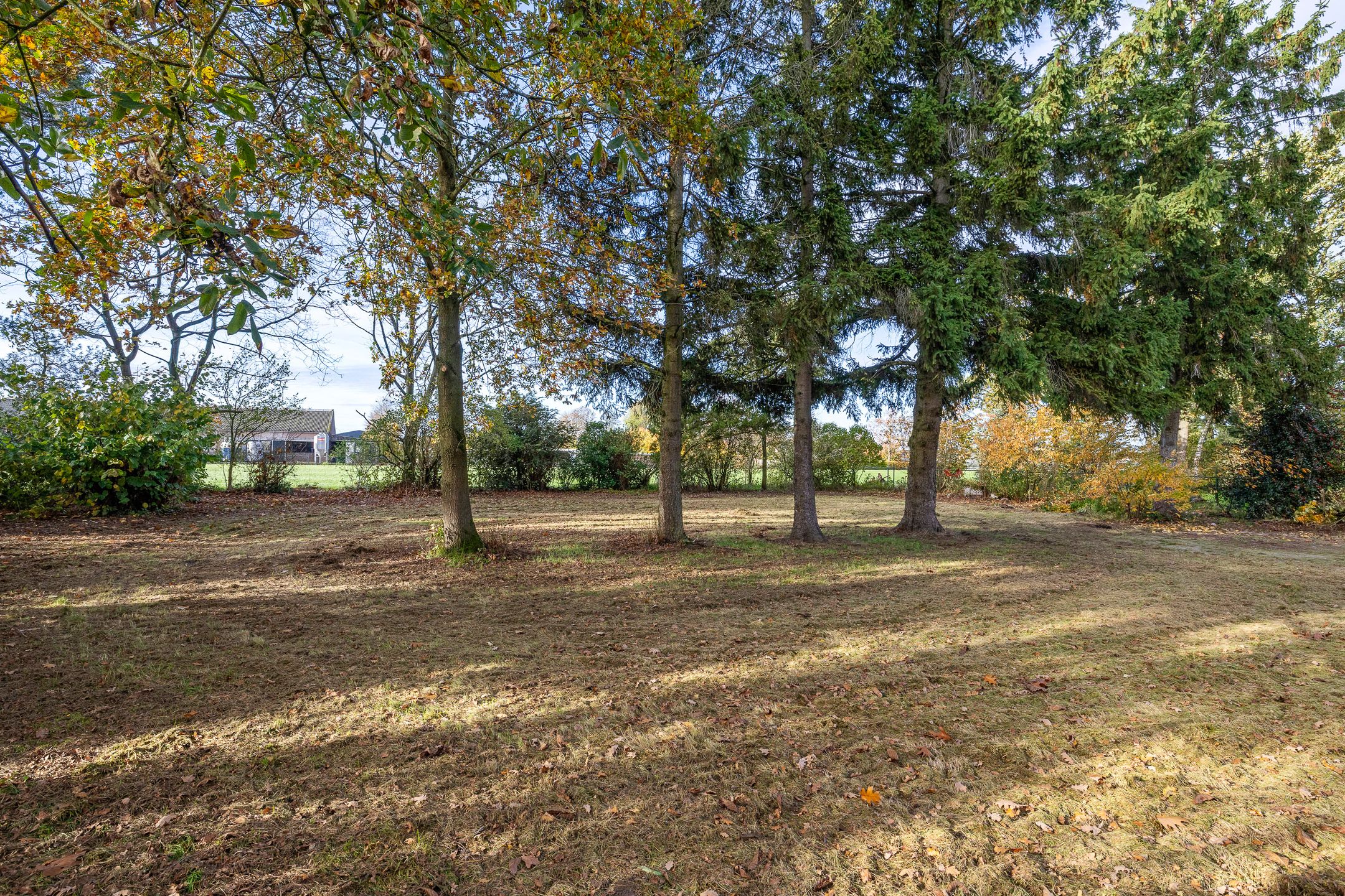 Foto 36 van Breestraat 14