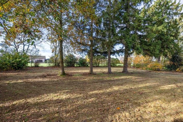 Photo 36 of Breestraat 14