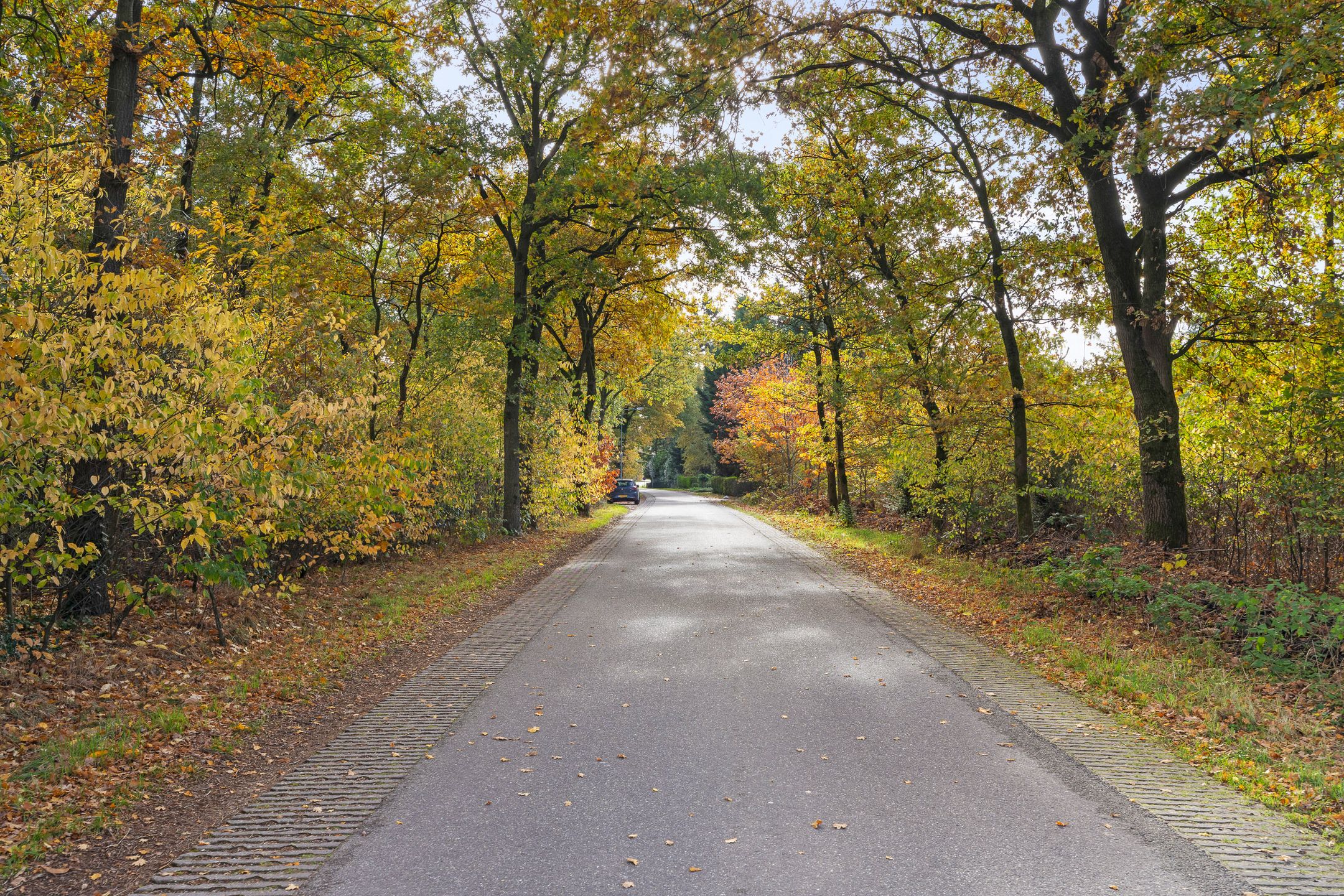 Foto 39 van Breestraat 14