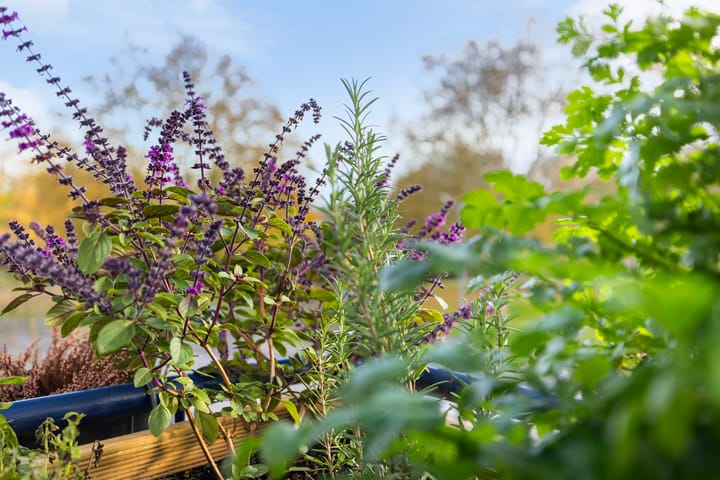 Photo 21 of S.M. Hugo van Gijnweg 323