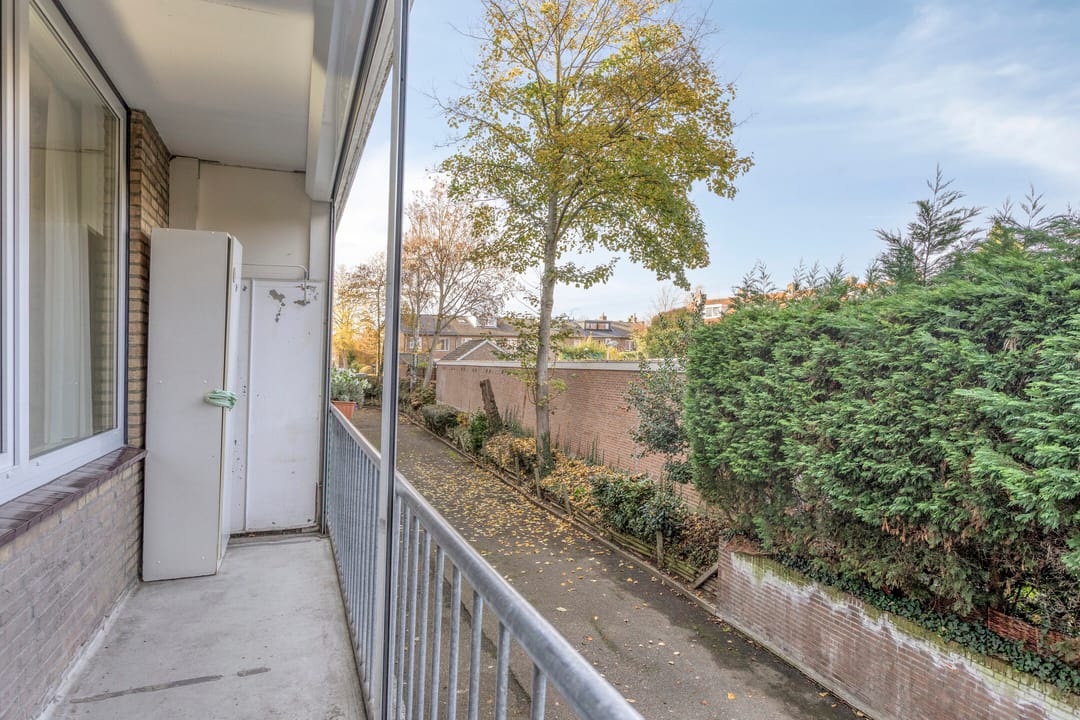 Photo 22 of Adelbert van Scharnlaan E 5