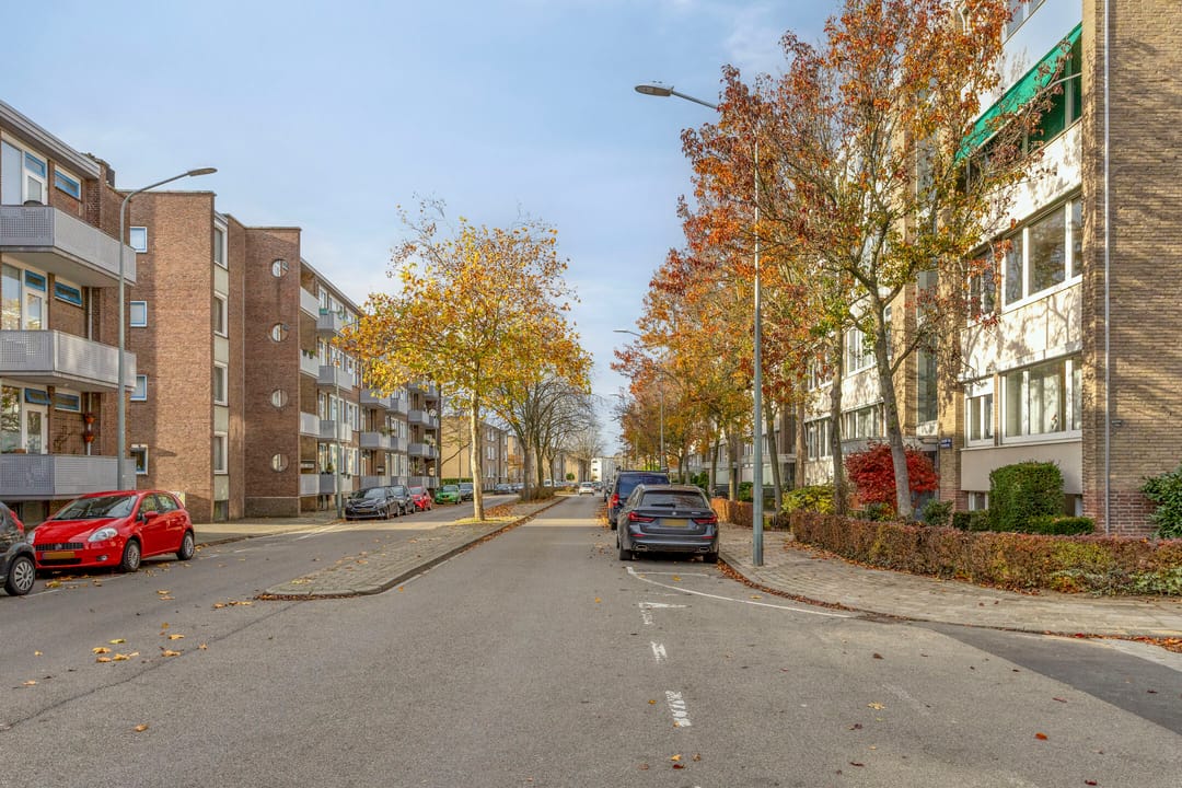 Photo 23 of Adelbert van Scharnlaan E 5