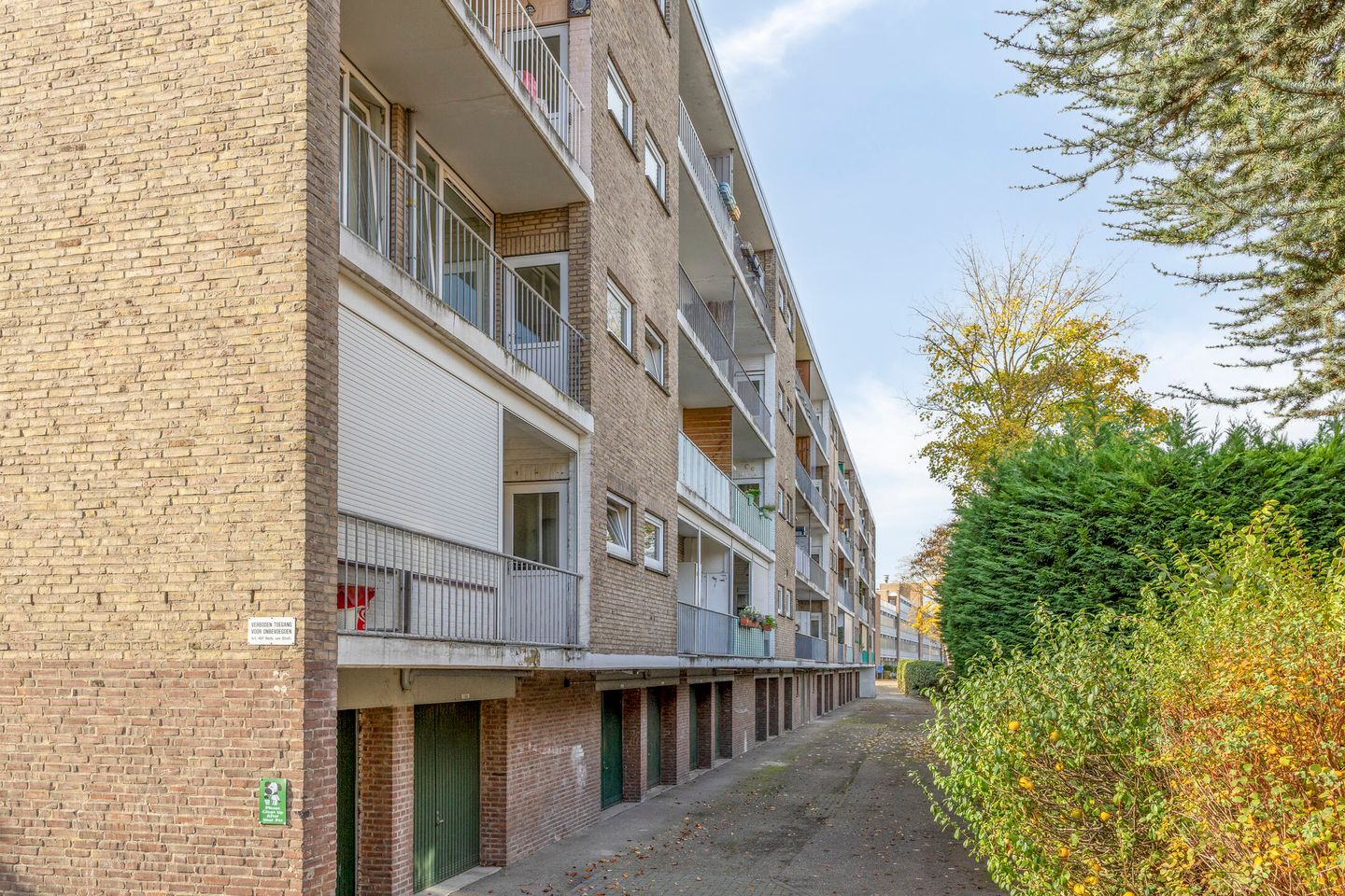 Photo 25 of Adelbert van Scharnlaan E 5