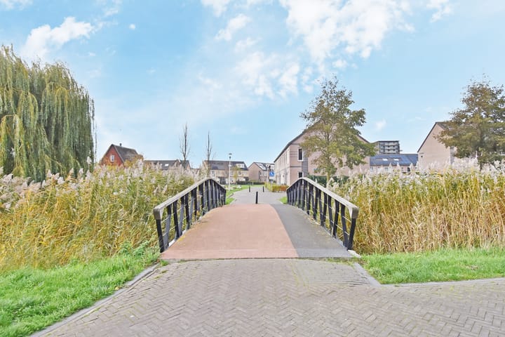 Foto 32 van Atalantazoom 21