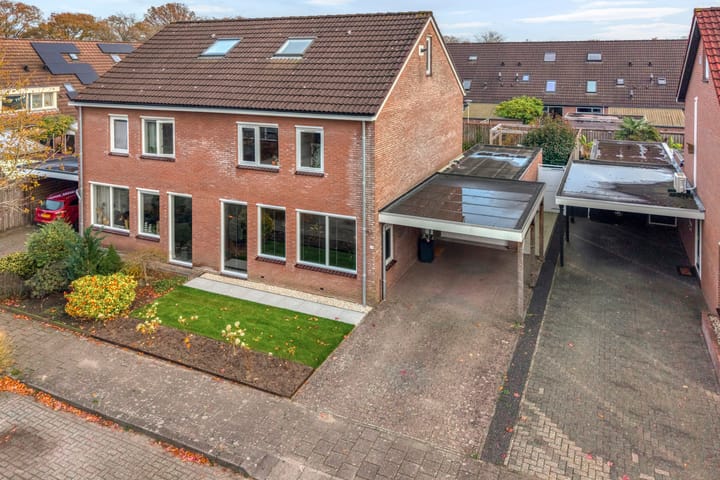 Foto 2 van Ganzebloem 38