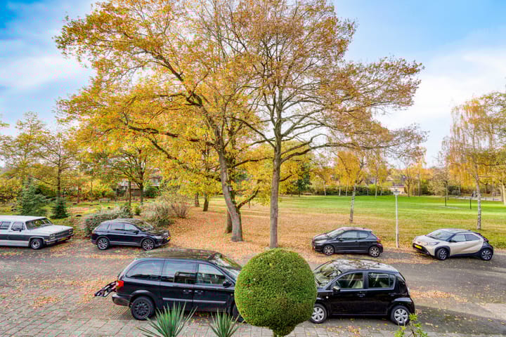 Foto 36 van Morene 501