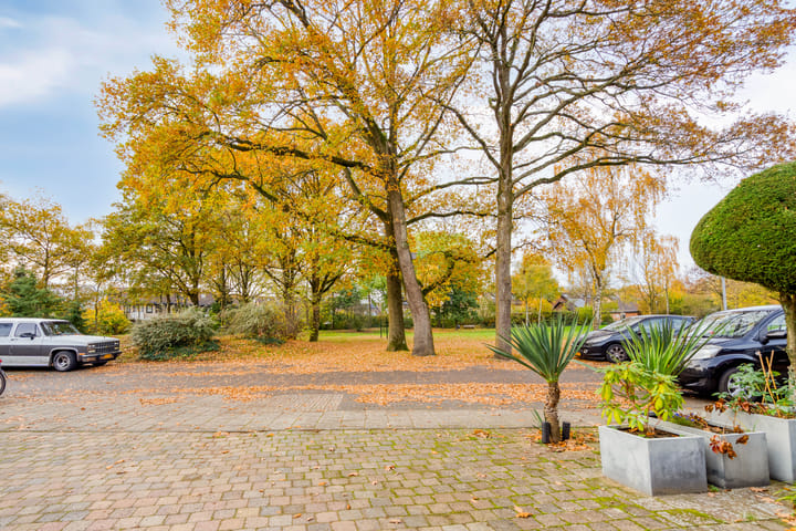 Foto 43 van Morene 501