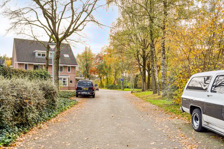 Foto 45 van Morene 501