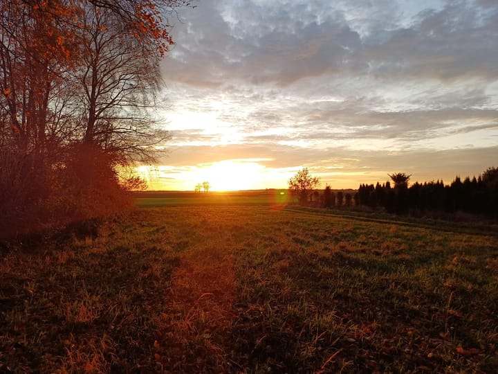 Photo 4 of Zuidwending