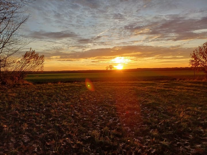 Photo 3 of Zuidwending