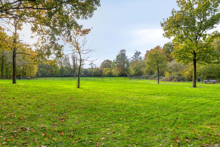 Photo 52 of Hurk 124