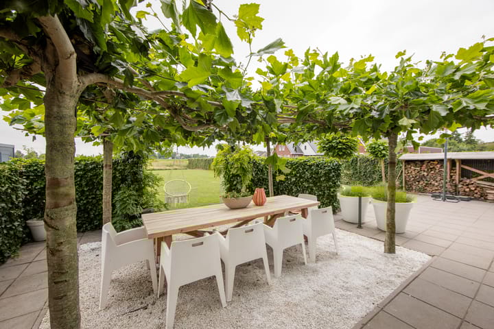 Photo 3 of It Ferset 45