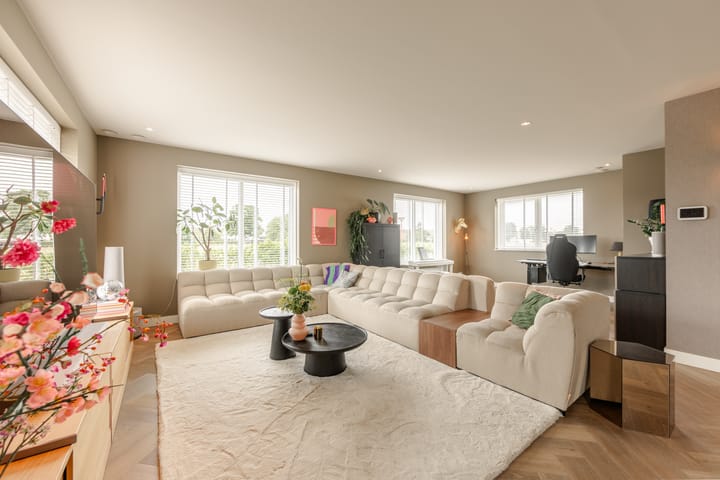 Photo 8 of It Ferset 45