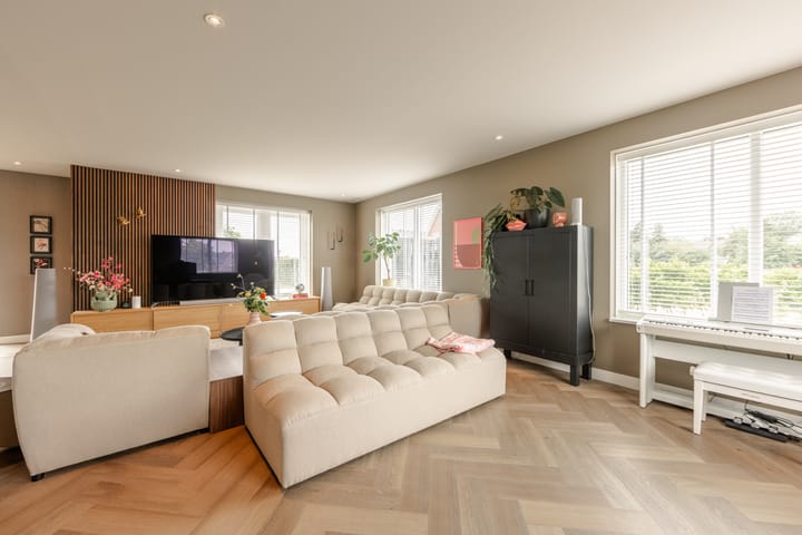 Photo 9 of It Ferset 45