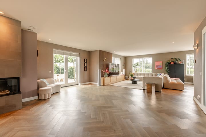 Photo 13 of It Ferset 45